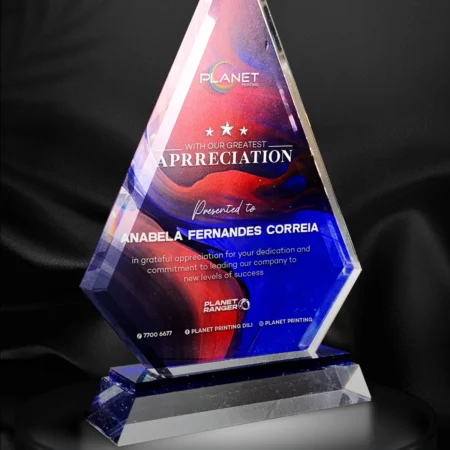 Acrylic Appreciation Award by Planet Printing, Dili